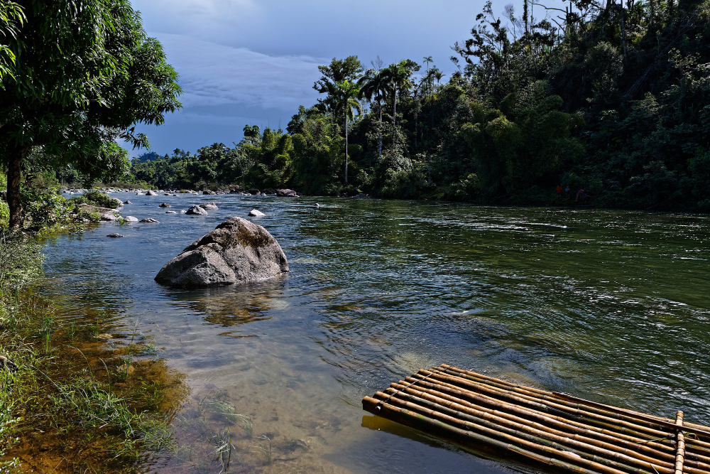 Pesca 01